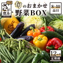 【ふるさと納税】野菜セット 定期便 お楽しみ 12回 佐賀県 12ヶ月 詰め合わせ 目安8～10品目 H-13