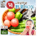 【ふるさと納税】★レビューキャンペーン【選べるサイクル】野菜 定期便 6回 旬のおまかせ野菜BOX 6ヶ月 8~10品目 | ふるさと納税 野菜 定期便 定期 やさい 定番 野菜 セット 詰め合わせ 旬 新鮮 産地直送 大容量 ふるさと 佐賀県 鹿島市 人気 送料無料 E-72