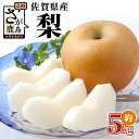 【ふるさと納税】佐賀県産 美味しい梨 | ふるさと納税 梨 なし 果物 フルーツ 果実 贈答用 お取り寄せ ギフト 国産 佐賀県産 佐賀県 鹿島市 ふるさと 人...
