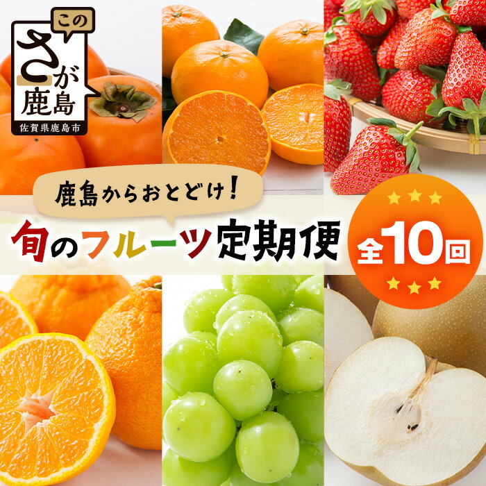 49位! 口コミ数「0件」評価「0」【定期便 10回】旬に届く フルーツ 定期便 10か月 10種 ｜ ふるさと納税 フルーツ 果物 定期便 定期 せとか / 津の輝き いちご･･･ 