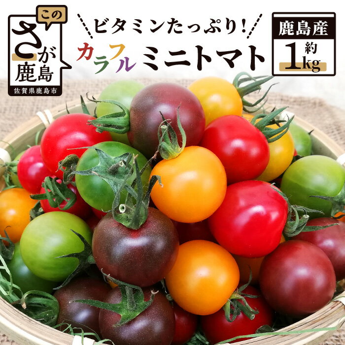   たにぐちファーム カラフルミニトマト 1kg Ricotomato とりこになるトマト 野菜 とまと トマト リコピン 佐賀産 佐賀県 鹿島市 B-280