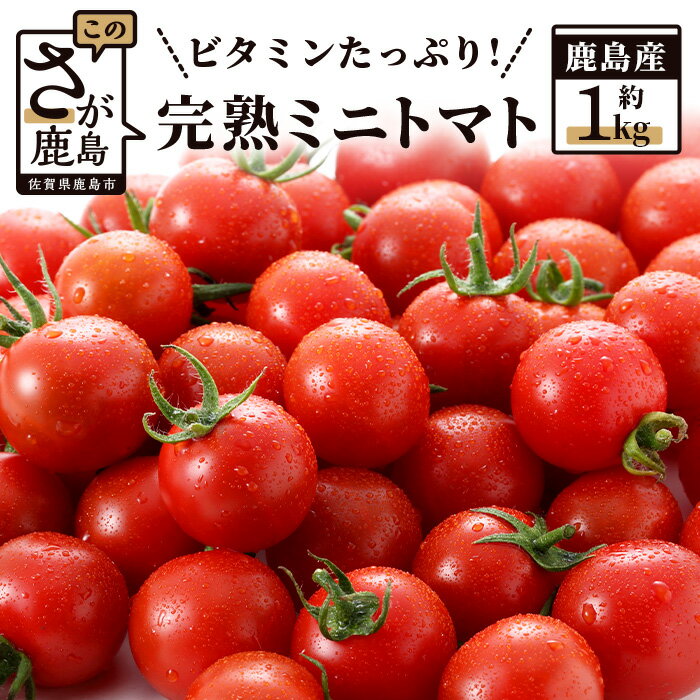 楽天佐賀県鹿島市【ふるさと納税】 【先行予約】 たにぐちファーム 完熟ミニトマト 1kg Ricotomato とりこになるトマト 野菜 とまと トマト 佐賀産 佐賀県 鹿島市 佐賀 送料無料 春 夏 旬 B-324