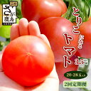 【ふるさと納税】【先行予約】【配送開始月が選べる】【2回定期便】 たにぐちファーム とりこになるトマト 3.5kg以上【2025年12月から出荷】 Ricotomato トマト 野菜 とまと トマト リコピン 旬 季節 JGAP認証取得 佐賀産 佐賀県 鹿島市 鹿島産 年2回発送 送料無料 B-508