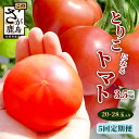 【ふるさと納税】【先行予約】【5回定期便】たにぐちファーム とりこになるトマト 3.5kg以上【2025年12月から出荷】 Ricotomato とりこになるトマト 野菜 とまと トマト リコピン 佐賀産 佐賀県 鹿島市 鹿島産 5回発送 送料無料 旬の野菜 D-161