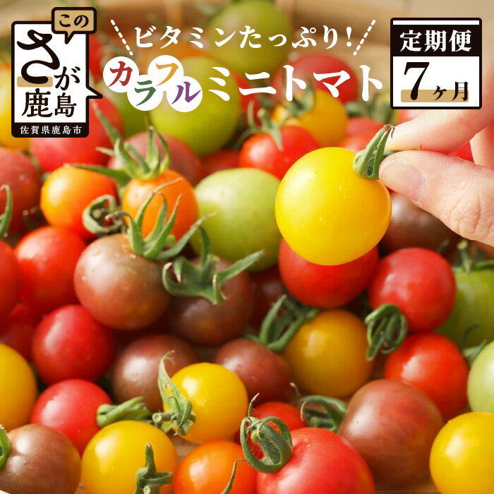 【ふるさと納税】 【先行予約】 【7回定期便】カラフル ミニトマト 1kg Ricotomato とまと トマト 合計7kg 月1回 年7回発送 野菜 佐賀産 佐賀県 鹿島市 送料無料 【2023年12月から出荷】 I-18のサムネイル