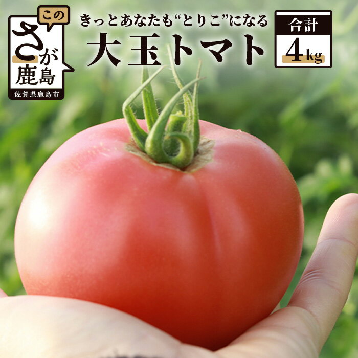 【ふるさと納税】 大玉トマト 4kg たにぐちファーム | ふるさと納税 野菜 トマト とまと 濃厚 ブランド ギフト 贈り物 贈答用 国産 佐賀県産 佐賀県 鹿島市 ふるさと 人気 送料無料 A-159