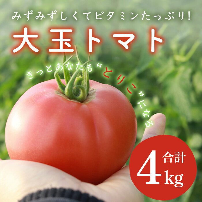 【ふるさと納税】 大玉トマト 4kg たにぐちファーム | ふるさと納税 野菜 トマト とまと 濃厚 ブランド ギフト 贈り物 贈答用 国産 佐賀県産 佐賀県 鹿島市 ふるさと 人気 送料無料 A-159