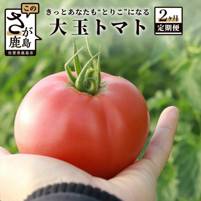 【ふるさと納税】【2回定期便】たにぐちファーム 大玉トマト 4kg 月1回 Ricotomato とりこになるトマト 野菜 とまと トマト リコピン 佐賀産 佐賀県 鹿島市 鹿島産 年2回発送 送料無料 【出荷期間：2022年11月～2023年4月】B-508