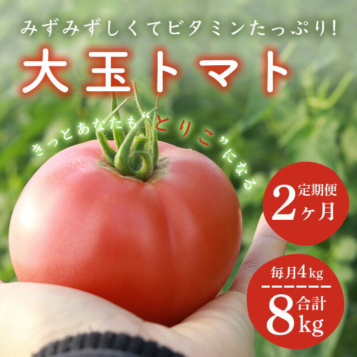 【ふるさと納税】【2回定期便】たにぐちファーム 大玉トマト 4kg 月1回 Ricotomato とりこになるトマト 野菜 とまと トマト リコピン 佐賀産 佐賀県 鹿島市 鹿島産 年2回発送 送料無料 【出荷期間：2022年11月～2023年4月】B-508