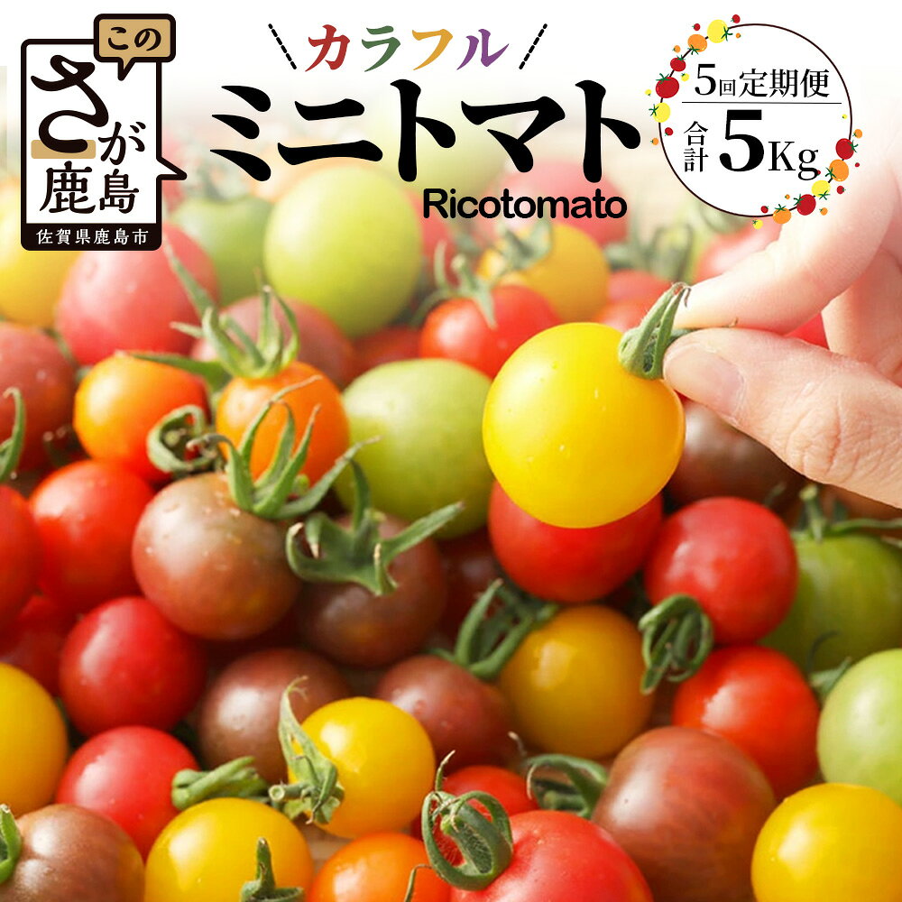 【ふるさと納税】【先行予約】【5回定期便】【2025年1月より発送開始】カラフル ミニトマト Ricotomat 1kg 合計5kg 月1回 年5回発送 6種類 野菜 トマト とまと 佐賀産 佐賀県 鹿島市 送料無料 G-24