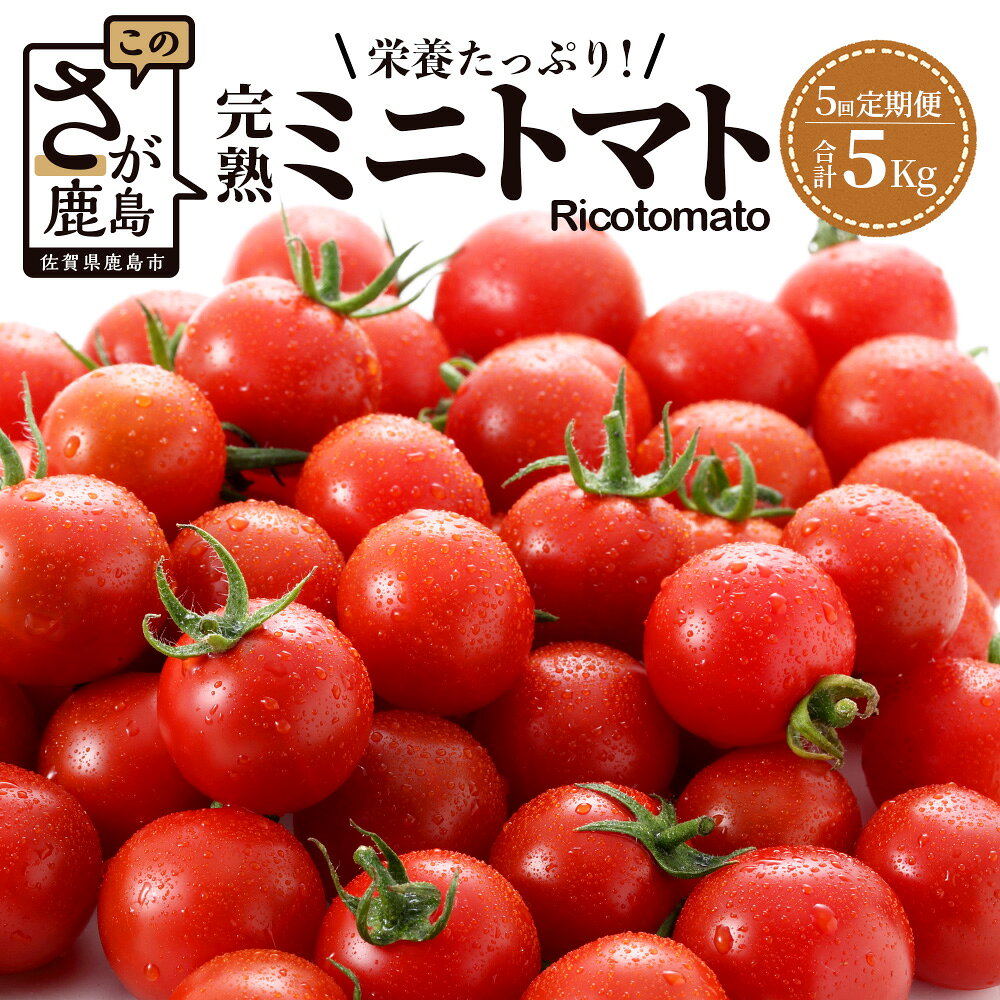 【ふるさと納税】【5回定期便】【先行受付】2027年1月より順次発送 完熟ミニトマト6種 1kg ミニトマト プチトマト 定期便 農家直送 たにぐちファーム Ricotomato～とりこになるトマト～ G-27