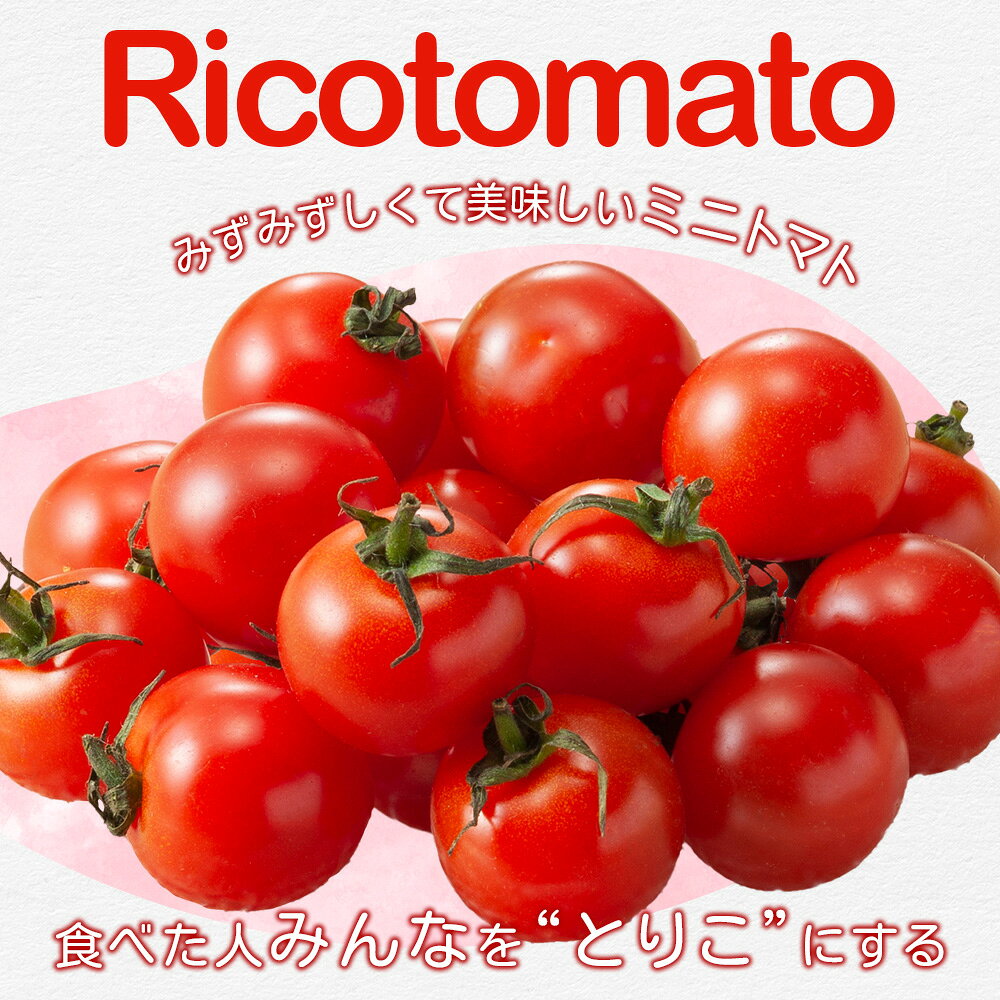 【ふるさと納税】【5回定期便】【先行受付】2027年1月より順次発送 完熟ミニトマト6種 1kg ミニトマト プチトマト 定期便 農家直送 たにぐちファーム Ricotomato～とりこになるトマト～ G-27