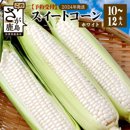 予約受付【限定30セット】ホワイトコーン 10～12本入 とうもろこし トウモロコシ 野菜 大自然 甘い 安全 安心 オススメ 美味しい 新鮮 高糖度 高品質 良質 栄養 B-733 佐賀 鹿島 スイートコーン