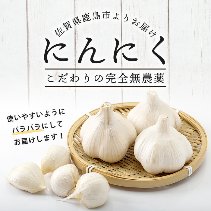 【ふるさと納税】【完全無農薬】 【数量限定】 佐賀県鹿島市産　こだわり乾燥にんにく 500g（100g×5袋）【2024年6月下旬～順次発送】 A-181