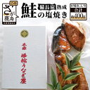 【ふるさと納税】備長炭で手焼きした 【鮭の塩焼き】 合計8切入り (4切入り×2パック) さけ 鮭 サケ 塩焼き 佐賀県 鹿島市 送料無料 AA-8