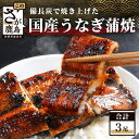 【ふるさと納税】うなぎの蒲焼 3尾 180〜200g×3 大型サイズ うなぎ 鰻 ウナギ 蒲焼き タレ付き 密封パック入り 佐賀 グルメ 佐賀県 鹿..