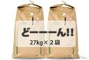 【ふるさと納税】F-8 大家族応援!さがびより(54kg)27kg×2袋(白米)