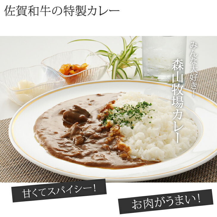 【ふるさと納税】佐賀和牛カレー3パックセット