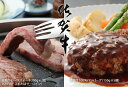 【ふるさと納税】D-7 リッチ!佐賀牛ハンバーグ(50g×5個)&ステーキ(200g×2P)