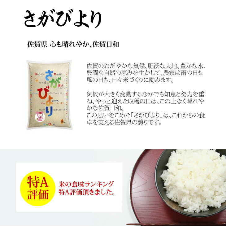 【ふるさと納税】 佐賀ブランド米「さがびより」54kg（白米）送料無料 佐賀の米 大家族 大量