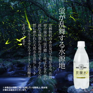 【ふるさと納税】強炭酸水 レモン 500ml × 24本 水 ミネラルウォーター 友桝飲料 炭酸飲料 ペットボトル フレーバー ハイボール ソーダ 割り材 送料無料 人気 ランキング 高評価