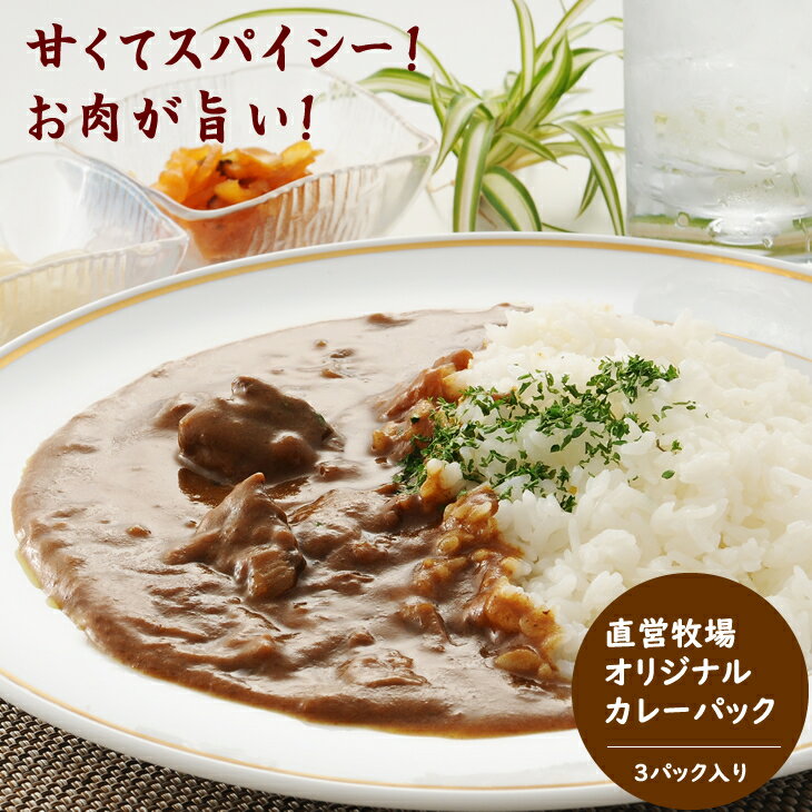 佐賀和牛カレー 3パックセット 送料無料 焼き肉屋が作る カレー ブランド牛 人気 ランキング 高評価 牛肉 佐賀県 小城市 [A060-001]