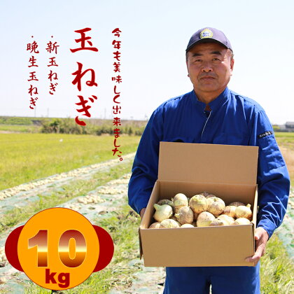 （先行予約開始）平石さん家の玉ねぎ！サイズL～Mサイズ（10kg）新玉ねぎ、晩生玉ねぎ （たまねぎ、玉葱） 送料無料