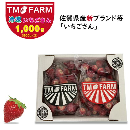 加工用冷凍 苺 佐賀ブランドいちごの（いちごさん）1kg（1,000g） TMファーム