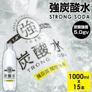 【ふるさと納税】 強炭酸水 1000ml (1Lx15本) 常温 送料無料 天然水1リットル 強い ストロング スパークリング ウォーター 友桝飲料 ハイボール ソーダ 割り材 水・ミネラルウォーター 炭酸飲料 ペットボトル 送料無料 人気 ランキング 高評価 【A070-026】