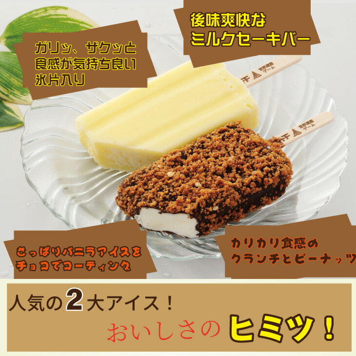 【ふるさと納税】ブラックモンブラン ミルクック 各5本入り 送料無料 竹下製菓 アイスクリーム スイーツ バニラ チョコ クランチ 佐賀 九州 限定 詰め合わせ 地方 ご当地 お取り寄せ ギフト 小分け 個包装 人気 ランキング 高評価 送料無料