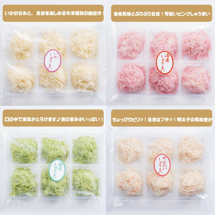 【ふるさと納税】いかしゅうまい（4パック×6個入り） 佐賀名物イカ 焼売 送料無料 佐賀 イカ 簡単料理 おかず 【A080-001】