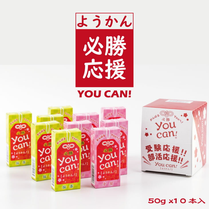 you can! ようかん 10本入 和菓子 伝統 小城羊羹 送料無料 [A065-005]