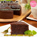 【ふるさと納税】 米粉 で作った ガトー ショコラ 送料無料 グルテンフリー ヴィーガン 小麦粉 卵 乳製品 動物性油 砂糖不使用 ギフト 贈り物 佐賀 佐賀県 サンテカフェまる 【B120-022】