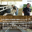 【ふるさと納税】豪快精肉店！森山牧場 焼肉セット（500g） 佐賀和牛 牛肉 黒毛和牛 お肉 ジューシー 国産 霜降り 九州産 送料無料 ブランド牛 焼肉 人気 ランキング 高評価 牛肉 2