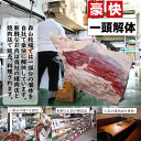 【ふるさと納税】豪快精肉店！森山牧場 焼肉セット（500g） 佐賀和牛 牛肉 黒毛和牛 お肉 ジューシー 国産 霜降り 九州産 送料無料 ブランド牛 焼肉 人気 ランキング 高評価 牛肉 3