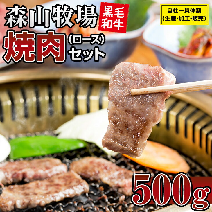  豪快精肉店！森山牧場 焼肉セット（500g） 佐賀和牛 牛肉 黒毛和牛 お肉 ジューシー 国産 霜降り 九州産 送料無料 ブランド牛 焼肉 人気 ランキング 高評価 牛肉 