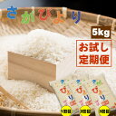 【ふるさと納税】【定期便】連続3回さがびより(5kg)肥前糧食 送料無料 【ふるさと納税】【定期便】連続3回さがびより(5kg)肥前糧食 送料無料