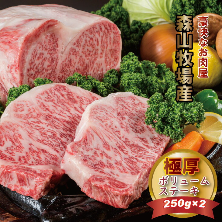 【ふるさと納税】 森山牧場産 黒毛和牛 ステーキ （250g×2） 佐賀和牛 ステーキ 牛肉 合計500g 黒毛和牛 お肉 厚切り 国産 森山牧場 九州産 送料無料 ブランド牛 ステーキ 焼肉 ブロック セット 人気 ランキング 高評価 牛肉 【D300-003】