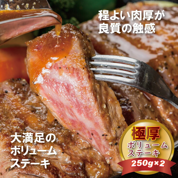 【ふるさと納税】森山牧場産 黒毛和牛ステーキ （250g×2） 佐賀和牛 ステーキ 牛肉 合計500g 黒毛和牛 お肉 厚切り 国産 森山牧場 九州産 送料無料 ブランド牛 ステーキ 焼肉 ブロック セット 人気 ランキング 高評価 牛肉 【D300-003】