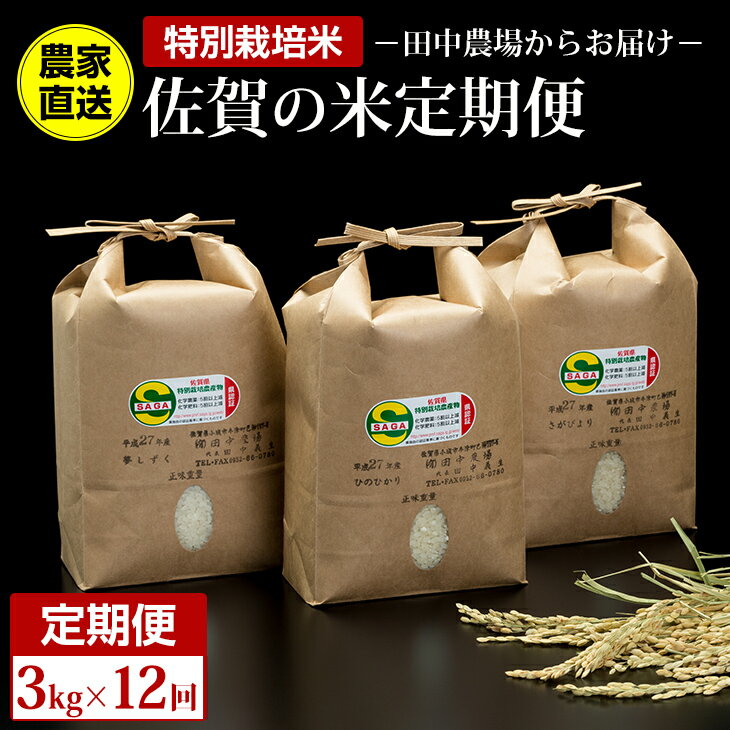 5位! 口コミ数「0件」評価「0」【定期便】(12ヶ月連続お届け) 佐賀県認定 特別栽培米 田中農場 佐賀米3kg X 12回 農家直送 お米の定期便 うまい 毎月12回 さ･･･ 