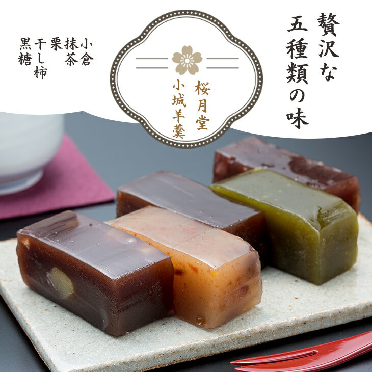 小城羊羹 ねりようかん 5本セット(260g×5) 羊羹 ようかん ギフト 煉羊羹 羊かん 和菓子 詰め合わせ ねり 贈答用 スイーツ 桜月堂 送料無料 [B115-026]