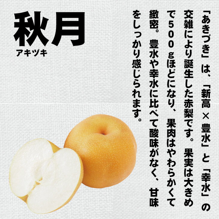 【ふるさと納税】【先行予約開始】 あきづき「秋月」 梨 （5kg）親子三世代 農家 合六果樹園 送料無料 農家直送 フルーツ 秋 ジューシー 果実 果物 ほうすい 人気 ランキング 【B140-017】