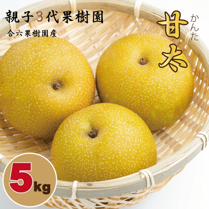 [先行予約] 甘太「かんた」 梨(5kg) 親子三世代 農家 合六果樹園 送料無料 農家直送 フルーツ 秋 ジューシー 果実 果物 ほうすい 人気 ランキング [B140-019]