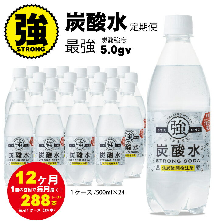 【ふるさと納税】【定期便】（12ヶ月連続お届け） 強炭酸水 （500ml）1ケース（24本入り）×12回 常温 天然水1リットル 強い ストロング スパークリング ウォーター 水・ミネラルウォーター 炭酸飲料 ペットボトル 送料無料 人気 ランキング 評価 【Q079-001】