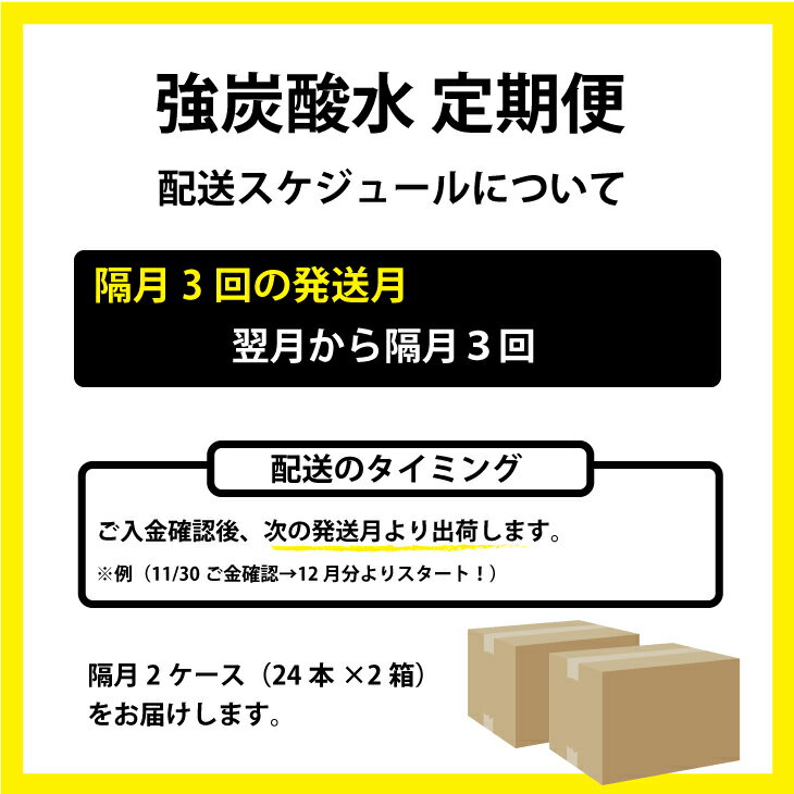 【ふるさと納税】【定期便】（3回／隔月お届け）定期便 強炭酸水（500ml）2ケース（計48本） 常温 天然水1リットル 強い ストロング スパークリング ウォーター 水・ミネラルウォーター 炭酸飲料 ペットボトル 送料無料 人気 ランキング 評価 【Q040-001】