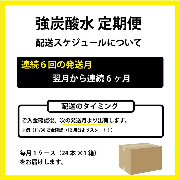 【ふるさと納税】【定期便】（連続6回お届け） 強炭酸水 （500ml）1ケース（計24本） 常温 天然水1リットル 強い ストロング スパークリング ウォーター 水・ミネラルウォーター 炭酸飲料 ペットボトル 送料無料 人気 ランキング 評価 【Q040-002】