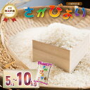 佐賀ブランド米「さがびより」（5Kg・10kg）さかぐち 一等米 精米 白米 ブランド米 お米 白飯 ランキング お米