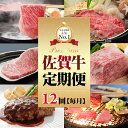 4位! 口コミ数「7件」評価「4」【定期便】(12ヶ月連続毎月お届け) 佐賀牛 お肉の定期便 送料無料　 A5～A4 ブランド牛 ステーキ しゃぶしゃぶ スライス ハンバーグ･･･ 