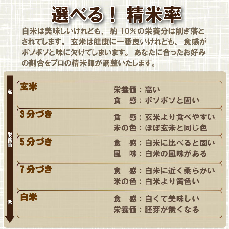 【ふるさと納税】【定期便】 (年6回/奇数月お届け) 大坪精米 佐賀ブランド米定期便（5kg×6回）＼選べる精米率／（玄米・3分・5分・7分・白米）隔月定期便 佐賀県産米 一等米 精米 白米 ブランド米 お米 白飯 人気 ランキング 高評価 【Q053-001】