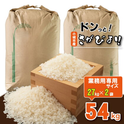 佐賀ブランド米「さがびより」54kg（27kg×2）（白米）大坪精米所 送料無料 佐賀の米 大家族 大量 一等米 精米 白米 ブランド米 お米 白飯 人気 ランキング 高評価 【E700-002】